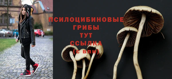apvp Кулебаки