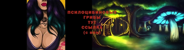 apvp Кулебаки