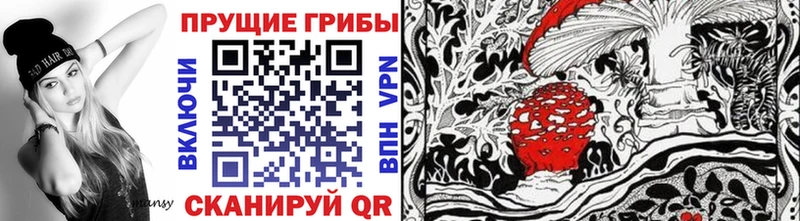 Галлюциногенные грибы мицелий  Купить где  Высоцк 